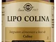 LIPO COLINA 100 Cps 100mgSOLGA