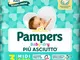 PAMPERS BD DOWNCOUNT MIDI 20PZ