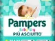 PAMPERS BD DOWNCOUNT MAXI 17PZ