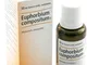 EUPHORBIUM COMP 30ML GTT HEEL