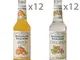 24 bottiglie miste: 12 Arancia e Zenzero - 12 Tonica Lemon