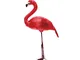 Flamingo decorativo