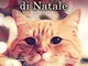 Il gatto che arrivò il giorno di Natale