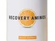  Recovery Aminos Arancia 400g