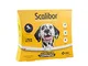  Protector Band Bi 65cm Taglia Grande