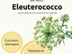  Et Eleuterococco Integratore Alimentare 30ml