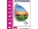 Echinacea Estratto Secco Titolato Integratore Vie Respiratorie 60 Compresse