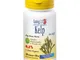 Longlife Kelp Alga Bruna Integratore Multivitaminico 180 Compresse