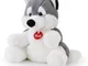  Scaldasogni Husky Peluche 1 Pezzo