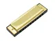 10 Holes 20 Tone diatonica Blues Harmonica chiave di C con il caso per principianti bambin...