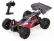 REMO HOBBY 1651 2.4 GHz 4WD 35km / h 1/16 RC Car RC Buggy Racing Off Road Drift Car RTR
