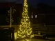  albero di Natale 320 Twinkle-LED 300cm