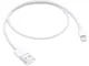 Apple Lightning to USB Cable (0.5 m)