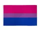 iPEAK Bandiera bisessuale grande Bi Flags LGBTQ 90 x 150 cm Bandiera per feste, carnevali,...