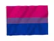Bandiera bandiera bandiera bisessuale bandiera bisessuale bandiera bi-pride bandiera vivid...