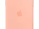 Apple Custodia in silicone (per iPhone 11) - Pompelmo