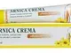 Dr Theiss Arnica Pom Ata Riscaldante - 50