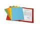 Fraschini 500-ASS cartella A4 Multicolore