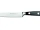 Sanelli Coltello da bistecca e tavola lama liscia Ergoforge, lunghezza lama 12 cm