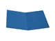 Alevar Cartellina Semplice in Cartoncino Pannosa 145 gr, Formato 25x34 cm, Colore Azzurro,...