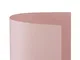 Cartotecnica Favini conf. 25 Cartoncino liscio 50x70 rosa A35S012