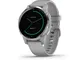 Garmin Vivoactive 4S Smartwatch GPS, Music, Garmin Pay, Wi-Fi, Grigio (Powder Gray / Silve...