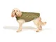Danish Design - Cappottino trapuntato per cani, 55 cm, colore: Verde foresta