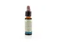 Di Leo Fiori di Bach Walnut Integratore Alimentare 10ml