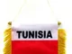 AZ FLAG Gagliardetto Tunisia 15x10cm con Ventosa - BANDIERINA per Auto TUNISINA 10 x 15 cm