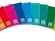 Blasetti Maxi One Color, Quaderno Formato A4, Rigatura 4M, Quadretti 4 mm per 4° e 5° Elem...