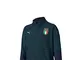 PUMA FIGC Training Jacket w.z/p Jr Ponderosa Gilet, Verde, 164 cm Unisex-Bambini