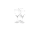 Bormioli Rocco France - Fiore Verre A EAU 24.5 Cl X3 France - Fds-007205