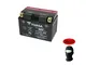 COMPATIBILE CON SUZUKI AN Burgman (BW111/BW112) 400 2003-2006 BATTERIA YT12A-BS YUASA(SIGI...