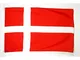 AZ FLAG Bandiera Danimarca 250x150cm - Gran Bandiera Danese 150 x 250 cm - Bandiere