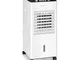 oneConcept Freshboxx - Raffrescatore Evaporativo, Ventilatore, Umidificatore 3in1, 65 W, F...