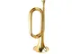 WYKDL Brass Gold Standard BB Tromba con i Guanti Caso Duro Bocchino e Valve Oil Assault Tr...