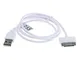 subtel® Cavo di ricarica 30 Pin Dock Connector compatibile con Apple iPod Mini (1. & 2. Ge...
