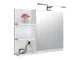 DOMTECH - Armadietto da bagno con specchio e ripiani, luce LED, misura L, bianco