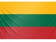 Bandiera lituana rinforzata da 90 x 150 cm, con due occhielli in metallo, bandiera della L...