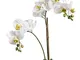 artplants.de Ramo di phalaenopsis Ornamentale Candida con Foglie, Bianco, 65cm - Orchidea...