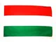 AZ FLAG Bandiera Ungheria 150x90cm - Gran Bandiera Ungherese 90 x 150 cm Poliestere Legger...