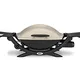 Weber Q2000 Barbecue a Gas, 55 x 39 cm, Titanium (53060029)