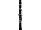 Roy Benson Rb700460 Clarinetto in Sib Cg-220 Sistema Tedesco, Ebanite, Astuccio Rettangola...