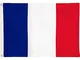Bandiere di aricona - bandiera della Francia, resistente alle intemperie con 2 occhielli i...