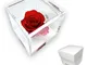 PremiumRose Cubo Rosa Rossa Stabilizzata e Profumata da 6 cm con Rosa Eterna Vera | Idea R...