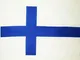 AZ FLAG Bandiera Finlandia 150x90cm - Bandiera Finlandese 90 x 150 cm