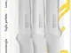 FISKARS KTS031406W Italicus Coltelli Bistecca, Metallo, Bianco, 6 unità