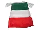 AZ FLAG Ghirlanda 12 Metri 20 Bandiere Italia 45x30cm - Bandiera Italiana 30 x 45 cm - Fes...