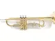 Roy Benson Bb Trumpet TR-202 (costruzione in ottone resistente, con custodia rettangolare...
