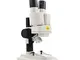 Swift, Microscopio stereoscopico per bambini, con luce superiore,20X